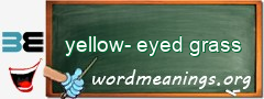 WordMeaning blackboard for yellow-eyed grass